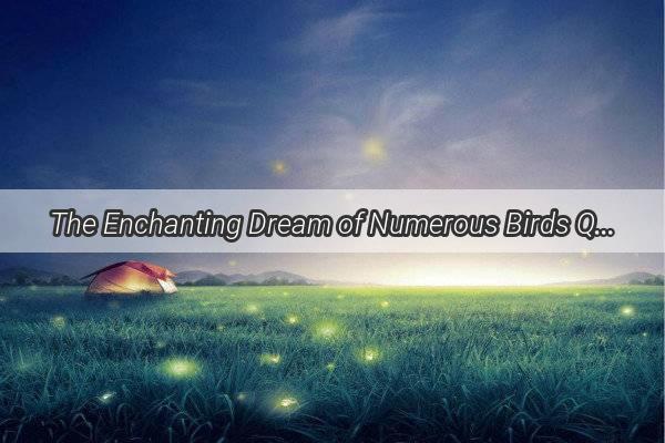 The Enchanting Dream of Numerous Birds Quenching Their Thirst A Mystical Journey into the Bird Kingdom